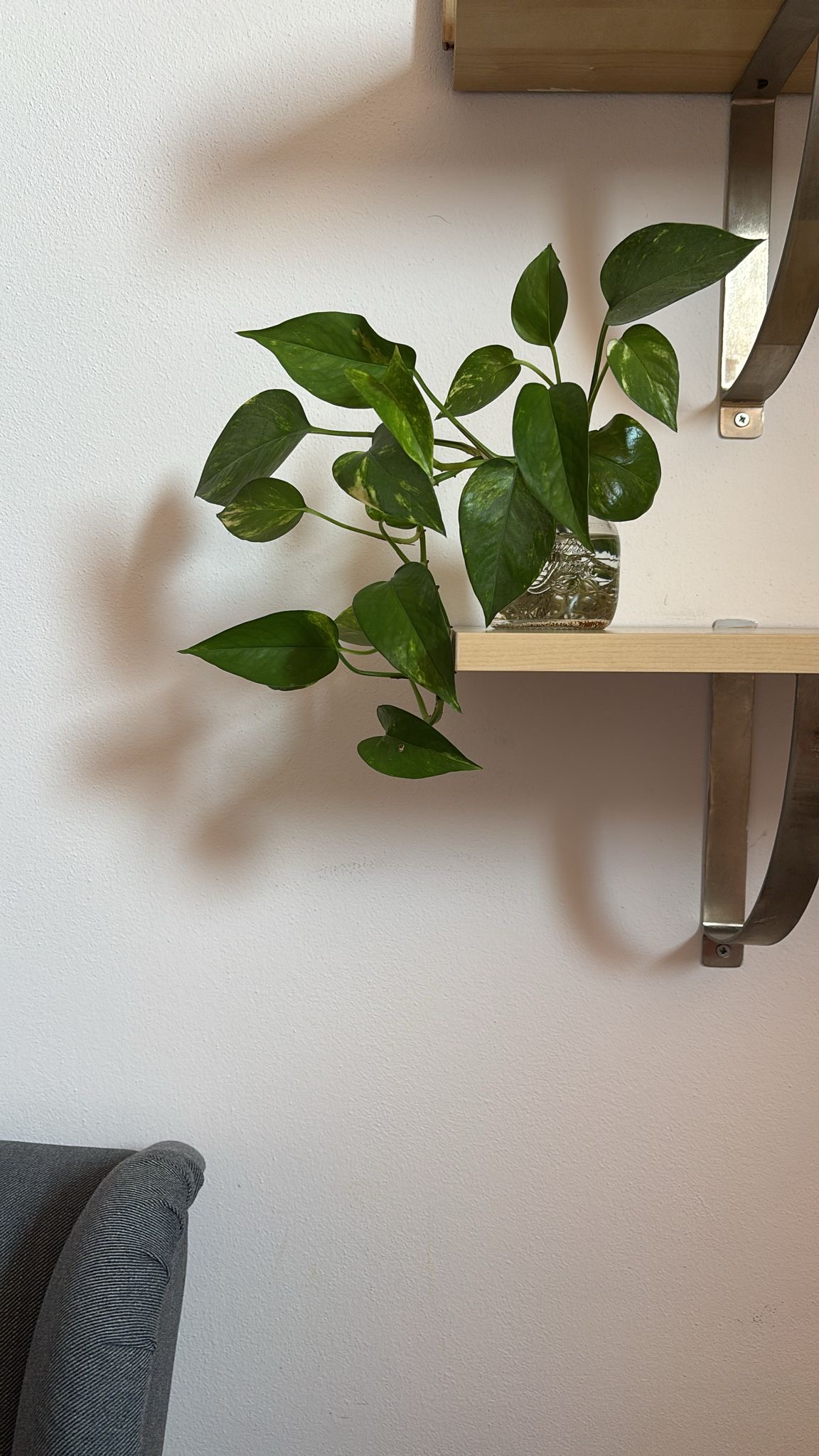 Dettaglio dello studio